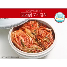 고이담 포기김치 5kg